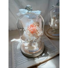 玻璃燈罩 永生花 玫瑰花乾燥花 畢業花束 情人節 生日禮物 康乃馨 捧花 婚禮小物燈罩, F 暖陽／橘,換購禮盒
