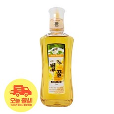 [얌얌마켓] 산내들농원 사양벌꿀 잡화꿀, 1kg, 1개