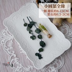 大地農園 永生小葉尤加利葉 尖葉小可愛 枝長約30CM, 【小葉尤加利】圓葉小可愛-圓葉全綠,全部枝節加總會有30公分 (有長有短）