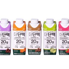 빙그레 더단백 5종 250ml 18개 초코 커피 카라멜 딸기 멜론 단백질 프로틴, 더단백 초코9개+커피9개