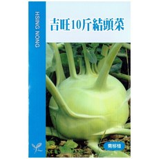 興農種苗 吉旺10斤結頭菜種子，口感清脆爽口，適合台灣氣候，新手也能輕鬆種植, 1個