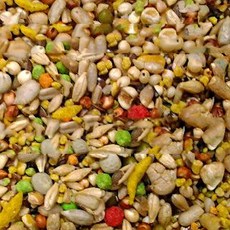 波飛鸚鵡飼料 UF-044/UF044 (生)中小型鳥無殼精緻日糧-12公斤 中小型鸚鵡/鸚鵡飼料/鳥飼料, 1個, 12公斤