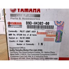 YAMAHA MT15 前 頭燈 小燈 日行燈, 1個, 右 B9D-H4302-00