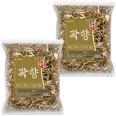 건강중심 국산 곽향 400g 말린 방아잎 배초향, 2개