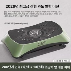 털털이 쉐이크보드 덜덜이 표준형 마사지기 가정용 기구 홈트레이닝 실내, 6. 모란디그린 68cm 7D 골드 168, 기본 모델명/품번