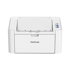 PANTUM P2506W 黑白雷射印表機, P2506W(白色)【有線+WIFI】,不加購碳粉【送到府安裝】, P2506W, 不加購碳粉