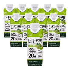 빙그레 더단백 드링크 멜론 / 단백질 프로틴 보충 음료, 10개, 250ml