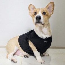 도기스타 웰시코기옷 시원한 여름 쿨링메시 크롭탑, 1개, 블랙