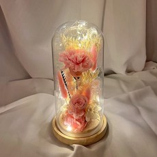 분홍 은은한 2 카네이션 이 조명등 장미, 색상, 1개