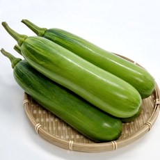 국내산 울팜 애호박, 1박스, 애호박 5개