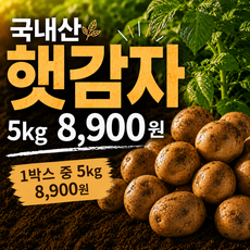 [대한민국 최저가] 26년 국내산 수미 감자 햇감자, 1박스, 5kg (중)