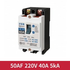 진흥 460V 220V 40A 2P2E 산업용 배선차단기 분전함 전기차단기 가설, 1개
