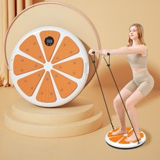 DANGZ 가정용 트위스트 헬스기구 유산소 운동 기구, 1개, 오렌지