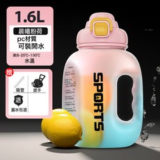 大容量噸噸桶男女運動水壺水杯夏季健身耐高溫頓頓桶吸管太空杯子, 1個, 1L, 晨曦粉1.6升【漸變款】:如圖