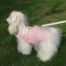 왕왕왕성miaowang 강아지 트위드 레이스 하네스 야간빛반사 리드줄 세트, 1세트, 핑크