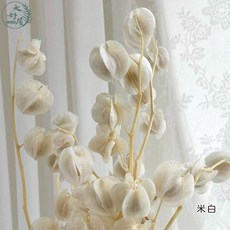 大好屋 永生風鈴果 盆栽裝飾 手作花材, 燈籠果【米白】小包/5顆裝