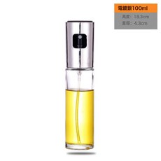 DFMEI 不鏽鋼噴油壺, 1個, 100ml電鍍款銀色:如圖