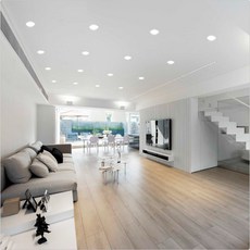 천지몰 필립스 다운라이트 LED 고효율 6인치 20W 2000LM(865) 주광색 매입등, 9-1 필립스-20W-6500K-주광색, 1개