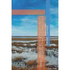 (영문도서)Wetlands as Nature-Based Solutions: Protecting Wetland Ecosystems for Climate Re... Paperback, Global Climate Solutions, English, 9781991369826