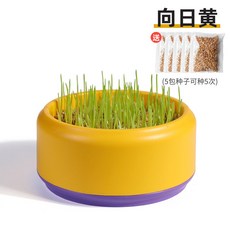 新款貓草盆栽 通用種植盒 套裝貓草 貓零食 麥種培育 排毛貓咪用品 批發 貓草盆 貓草 寵物用品 貓星人 盆栽 種植貓草, 1個, 圓盒—向日黃（含5包種子）