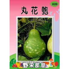 野菜部屋 K09 丸花匏種子, 1包