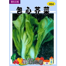 野菜部屋 H04 包心芥菜種子 長年菜, 1包