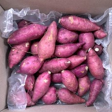 호풍미/풍원미 당근 고구마 한입 3kg 986000ea (개), 1개, 상세페이지 참조