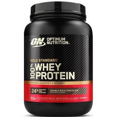 ON Gold Standard 100% 유청 단백질 더블 리치 초콜릿 주원료 WPI 669g(1.47lb) 보틀타입 옵티멈뉴트리션(Optimum Nutrition), 1g, 1개
