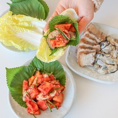 통영할매 굴깍두기 1kg 생굴 아삭한무 김치 반찬 신선한바다향, 통영 굴깍두기 1kg, 1개