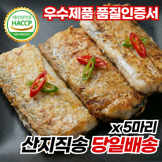 안군농원 산지직송 제주 은갈치 5마리 냉동, 1개, 제주 은갈치 5마리 (중)