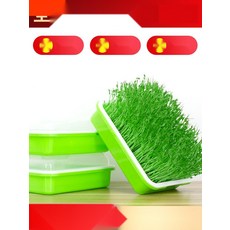 식물재배기 콩나물재배기 가정용 무토양 재배세트, 29. 2열 3단 커버형 6세트분무기