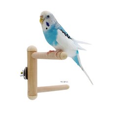 고정식 미니 우드 사랑 핀치 모란 유리 앵무새 횃대, 1개