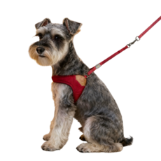 애완 동물 y 형 멜빵 끈 올가미 새끼 고양이 강아지 가슴에 멜빵 줄이 있다, 심홍색