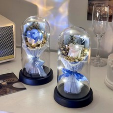 루카스 LED유리돔 기념일선물 장미꽃다발 무드등, 블루