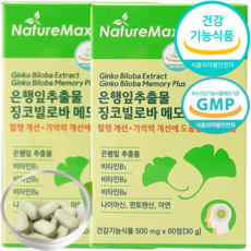 식약처인증 혈행개선 120캡슐 4개월분 징코 은행잎 플러스 뇌순환 기억력 개선기능 추천, 120정, 1개