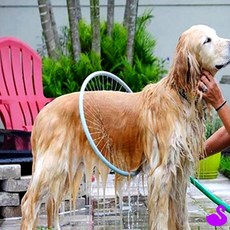 PS 반려견 샤워기 강아지샤워