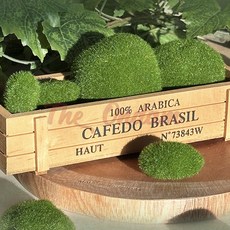 더 온담 가짜 이끼 돌 세트 10개입 테라리움소품 미니어항소품