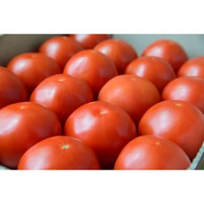 유럽종 정품 완숙토마토, 1개, 5kg(3,4번)