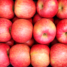 [하늘농원] 재구매1위 농장직송 꿀 사과 가정용, 1박스, 사과 5kg