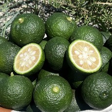 2025년 산지직송 청유자 햇유자 생과 전남 고흥 당일수확 유즈코쇼, 1개, 고흥 청유자 5kg