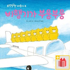 비행기가 부웅부웅 (작은 곰자리 31)