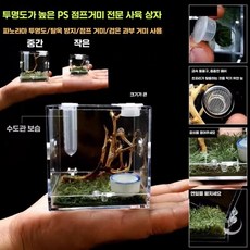 곤충 사육장 아크릴 거미집 파충류 사마귀집, 1개, 2. 점프거미 중형 5.2cm
