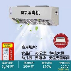 오존기 오존 생성기 오존생성기 20G 음이온 석영관 시간당, J. 220V 5g 카운트다운 및 주기 타, J. 220V 5g 카운트다운 및 주기 타