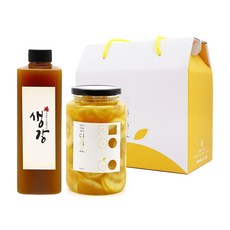 담아요 수제청 2구 선물세트, 1개, [2구]생강청(플)650g+레몬청650g