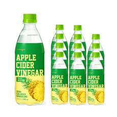 웅진 애사비 파인애플, 500ml, 12개