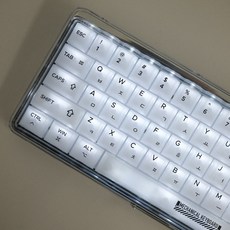 그린 화이트 안개 매트 반투명 한글각인 체리키캡 CHERRY PC LED투과 기계식키보드 독거미 키캡, 키캡, 스페이스바 각인 없음