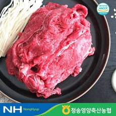 청송영양축협 1등급 명품 한우 불고기 설도 300g, 단품, 1개