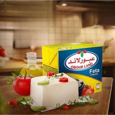 Obour Traditional Egyptian Feta (Salty) 오부르 이집트 페타 치즈 (짠맛), 1개, 500g