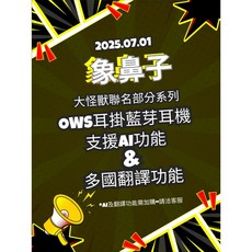 象鼻子潮牌 無線遊戲降噪頭戴式藍牙耳機 (支援AI翻譯功能 台灣總代理保固一年 台灣現貨), 升級翻譯功能-灰