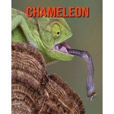 Chameleon: Fun Facts & Cool Pictures Paperback, Independently Published, English, 9798564575768